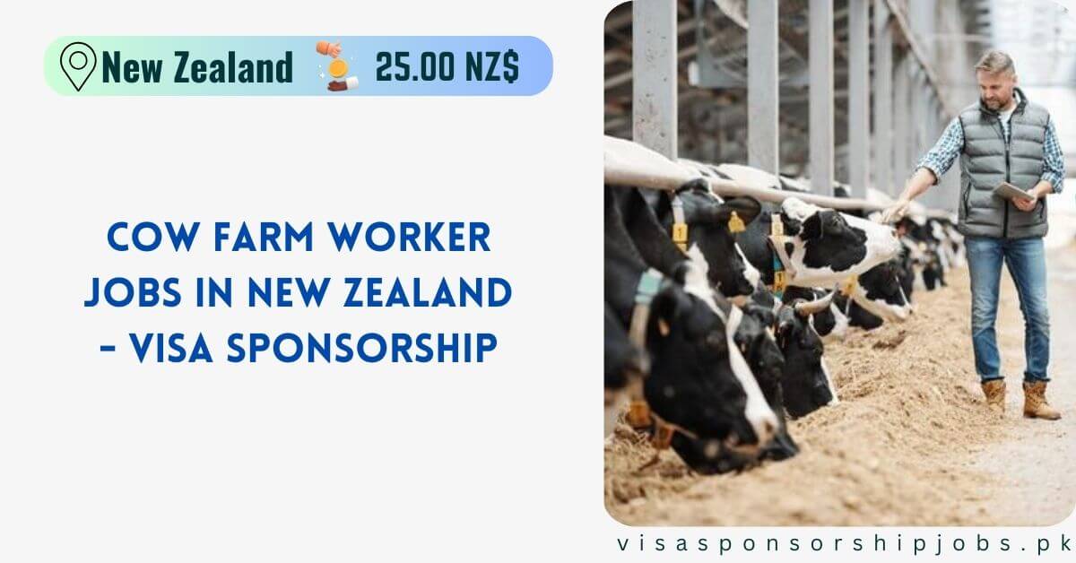 Cow Farm Worker Jobs in New Zealand - Visa Sponsorship