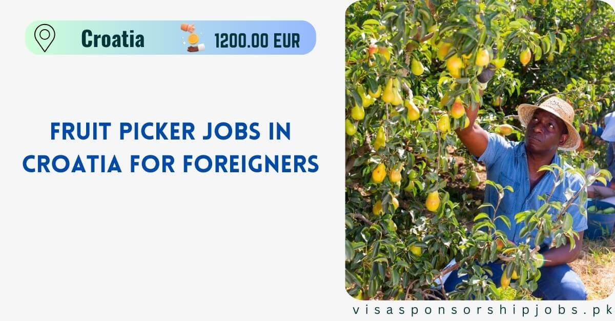 Fruit Picker Jobs in Croatia for Foreigners