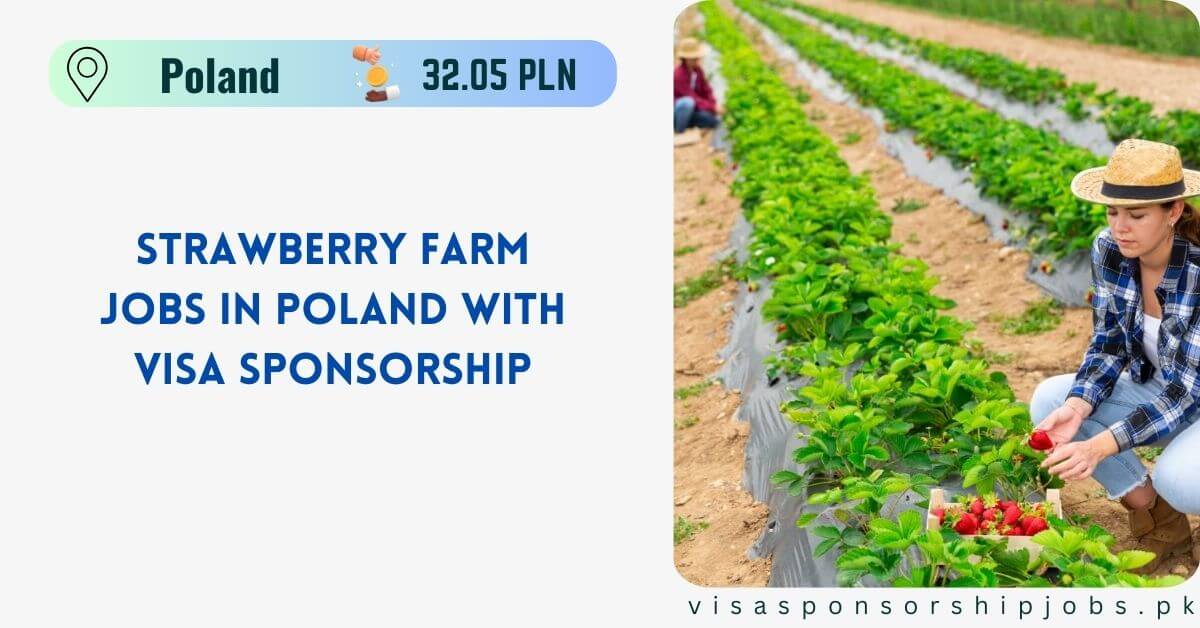 Strawberry Farm Jobs in Poland with Visa Sponsorship