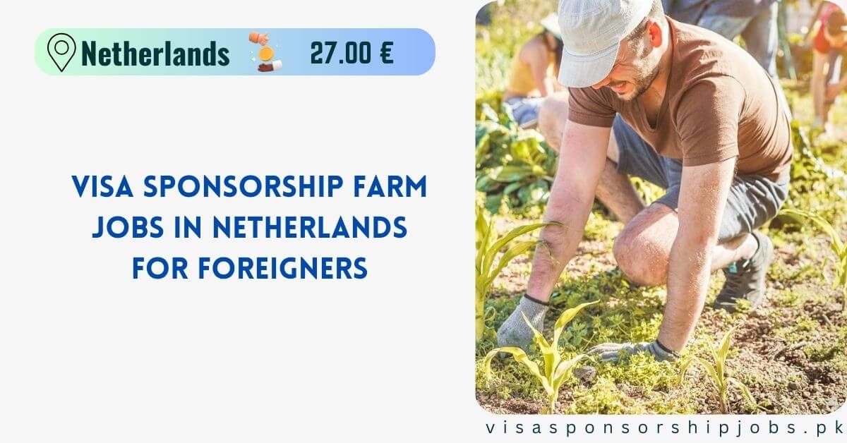 Visa Sponsorship Farm Jobs in Netherlands for Foreigners