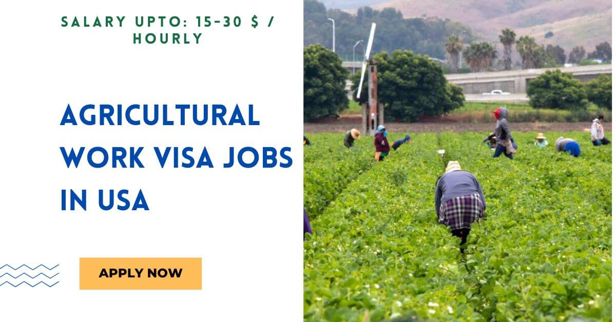 Agricultural Work VISA Jobs in USA