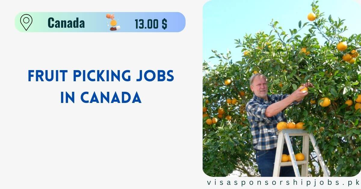 Fruit Picking Jobs in Canada