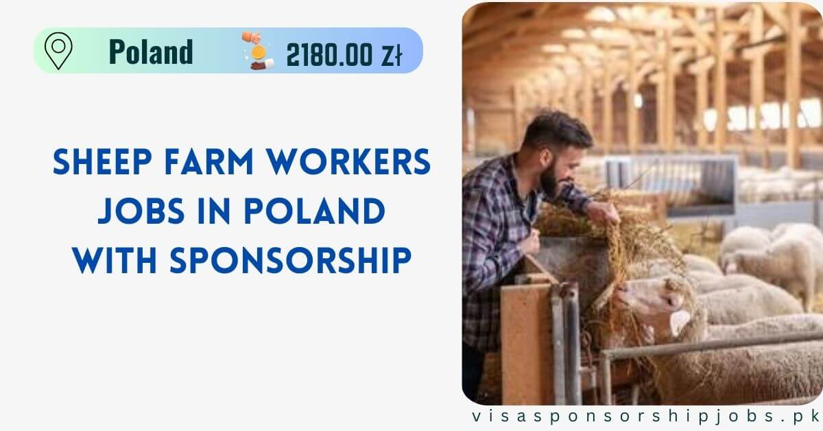 Sheep Farm Workers Jobs in Poland with Sponsorship