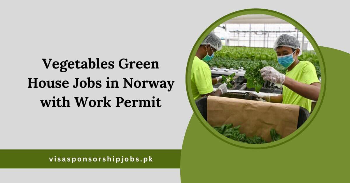 Vegetables Greenhouse House Jobs in Norway