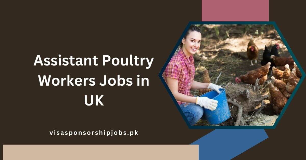 Assistant Poultry Workers Jobs in UK