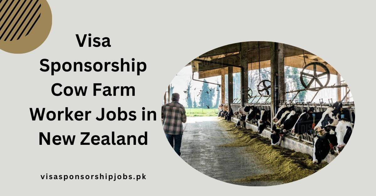 Visa Sponsorship Cow Farm Worker Jobs in New Zealand
