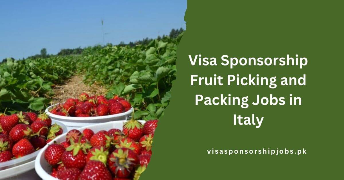 Visa Sponsorship Fruit Picking and Packing Jobs in Italy
