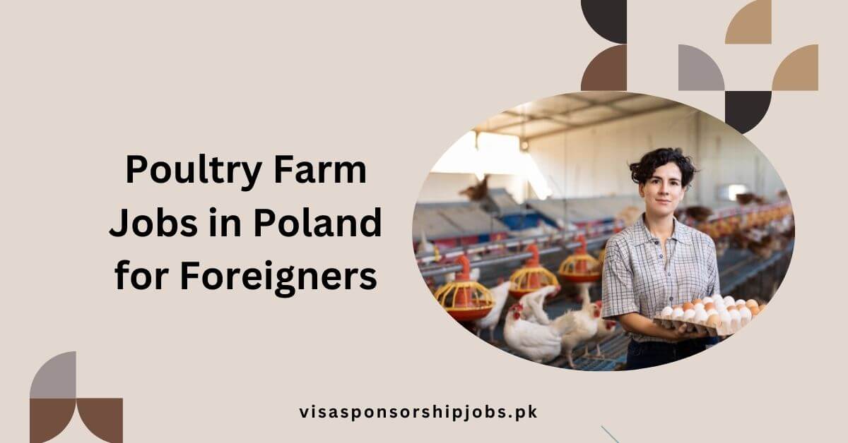 Poultry Farm Jobs in Poland for Foreigners