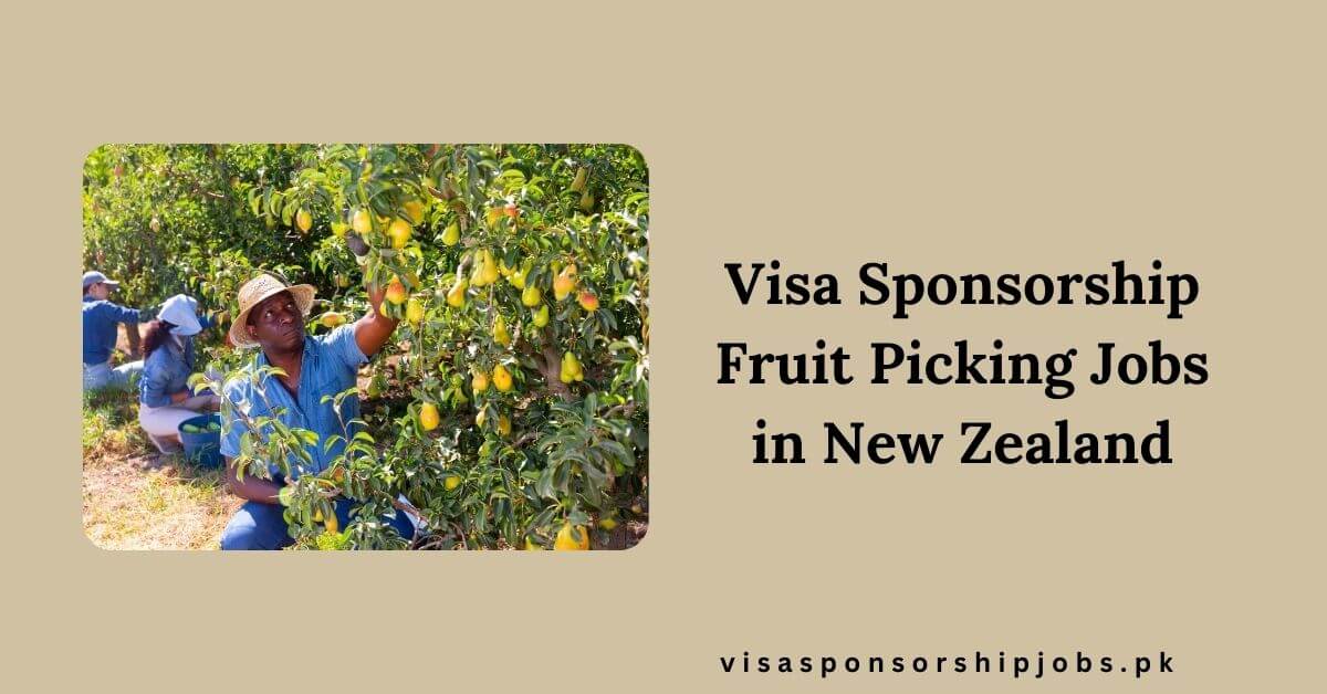 Visa Sponsorship Fruit Picking Jobs in New Zealand