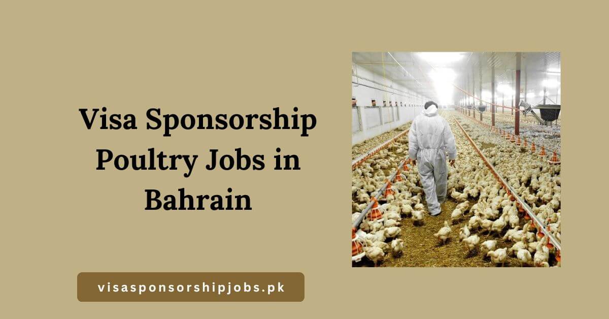 Visa Sponsorship Poultry Jobs in Bahrain
