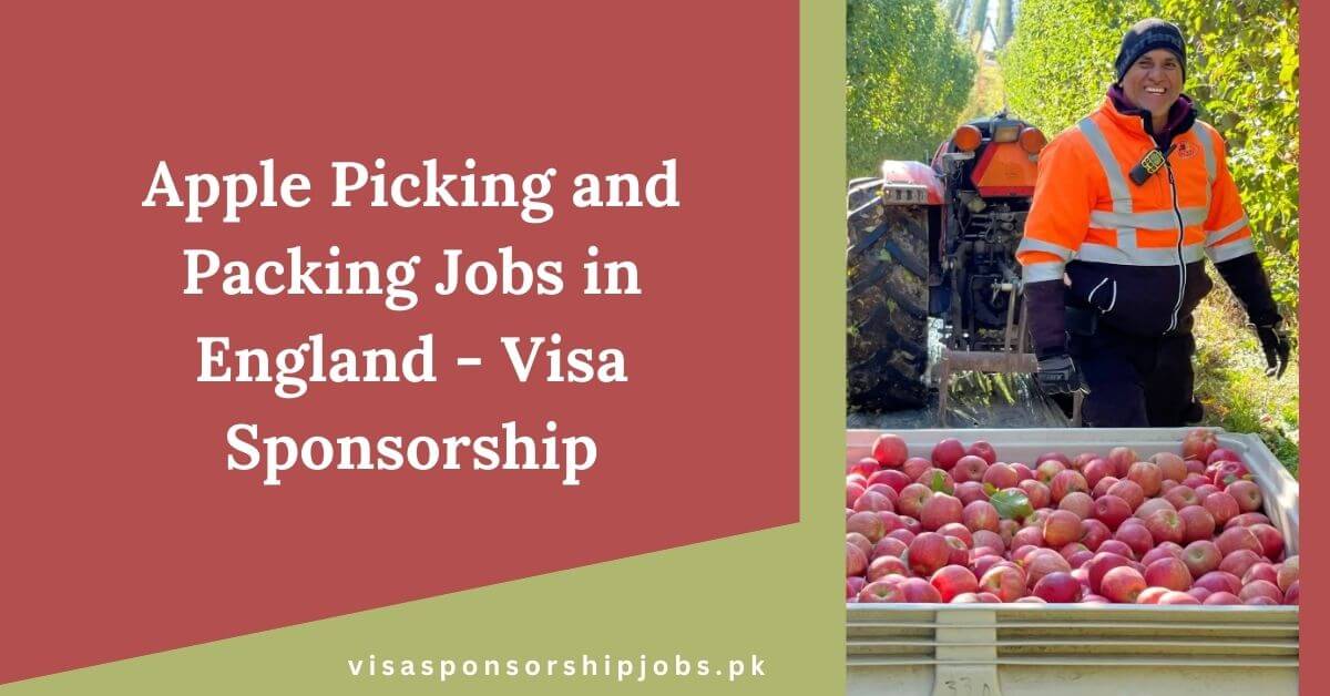 Apple Picking and Packing Jobs in England - Visa Sponsorship