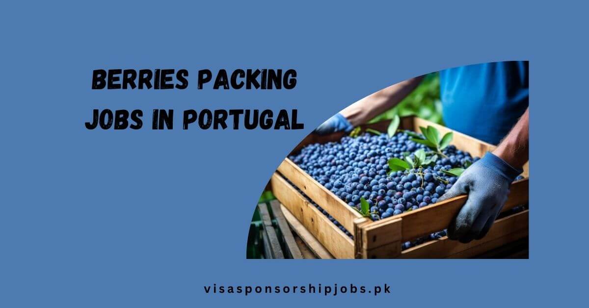 Berries Packing Jobs in Portugal