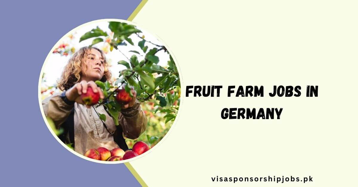 Fruit Farm Jobs in Germany