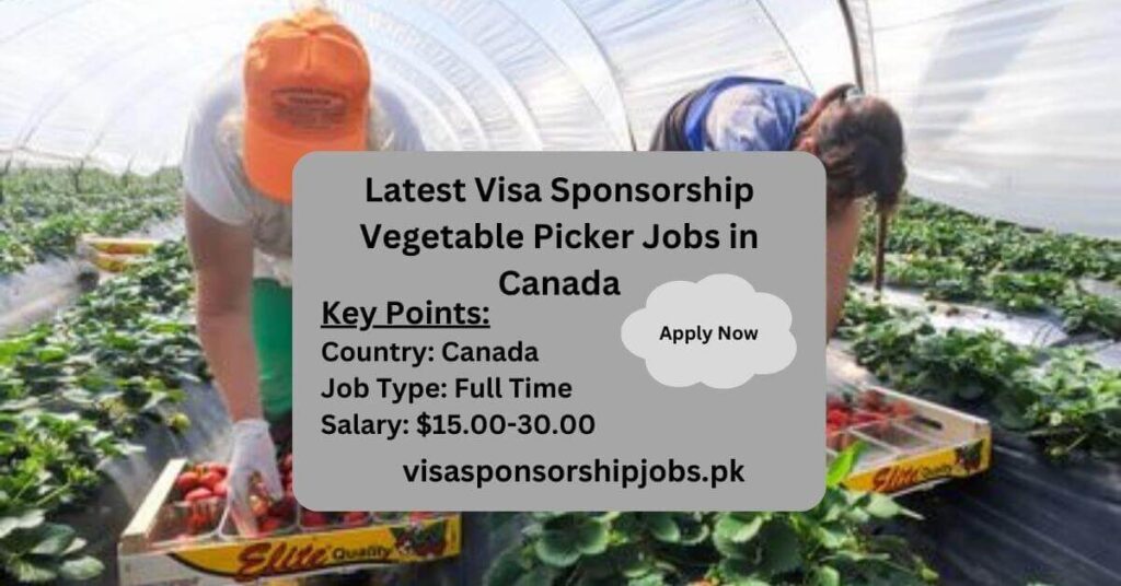 Latest Visa Sponsorship Vegetable Picker Jobs in Canada