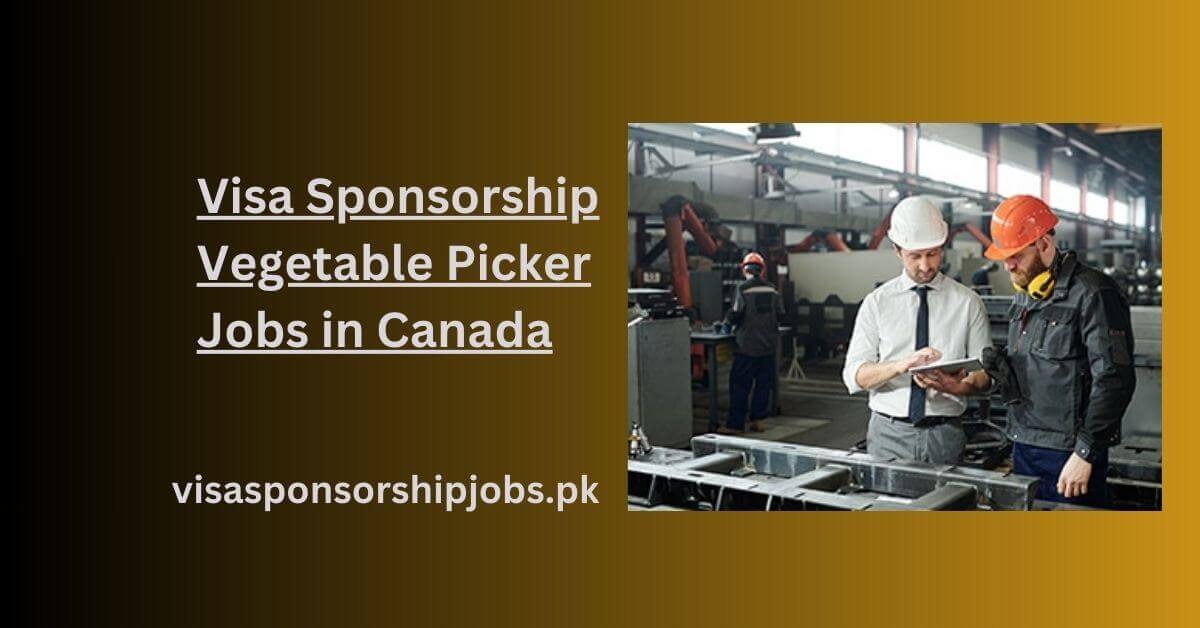 Visa Sponsorship Vegetable Picker Jobs in Canada