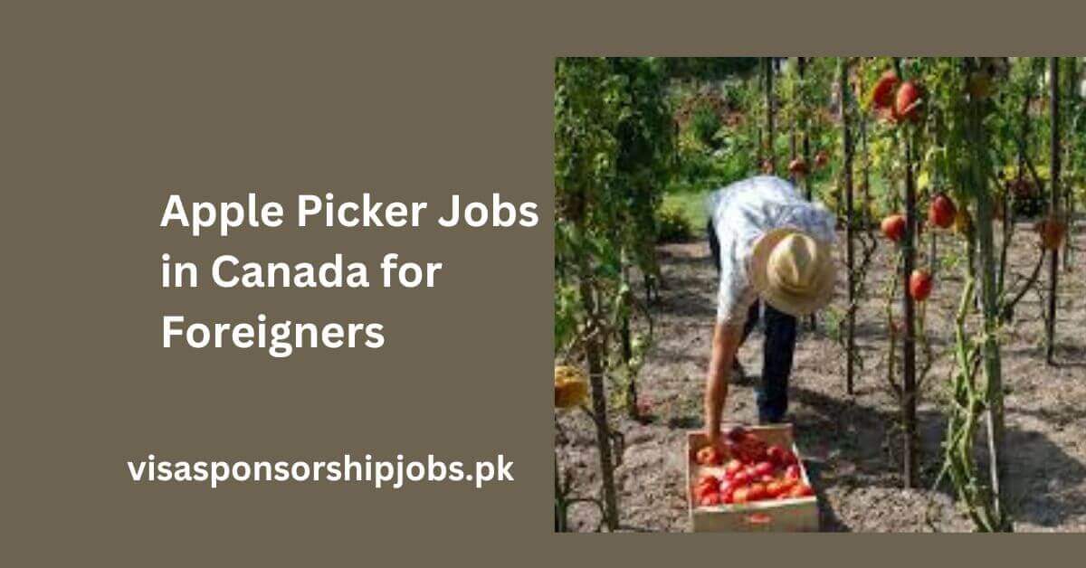 Apple Picker Jobs in Canada for Foreigners