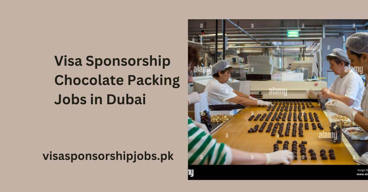Visa Sponsorship Chocolate Packing Jobs in Dubai