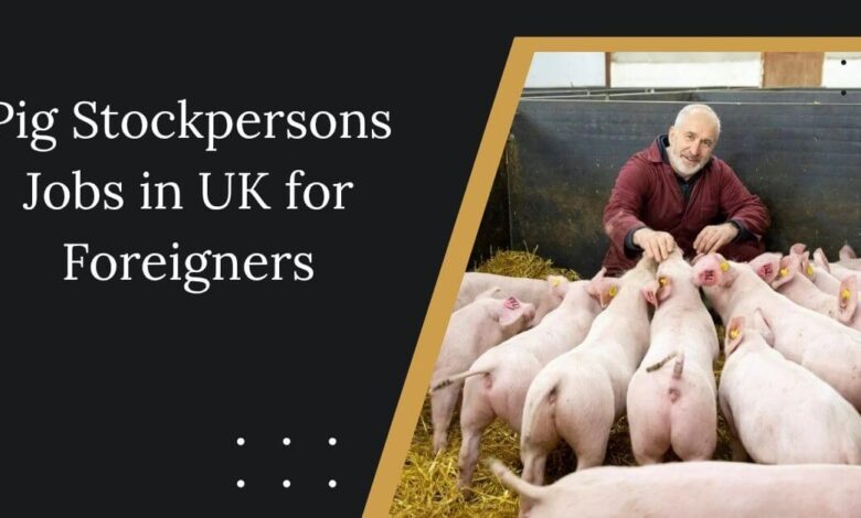 Pig Stockpersons Jobs in UK for Foreigners
