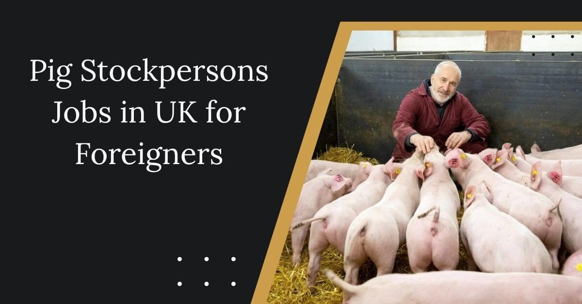Pig Stockpersons Jobs in UK for Foreigners