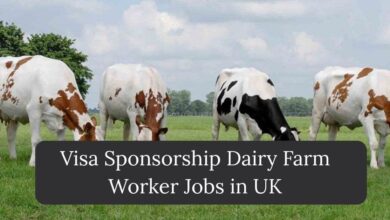 Visa Sponsorship Dairy Farm Worker Jobs in UK