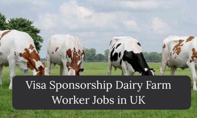 Visa Sponsorship Dairy Farm Worker Jobs in UK