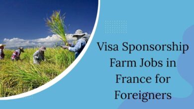 Visa Sponsorship Farm Jobs in France for Foreigners