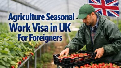 Agriculture Seasonal Work Visa in UK For Foreigners