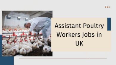 Assistant Poultry Workers Jobs in UK