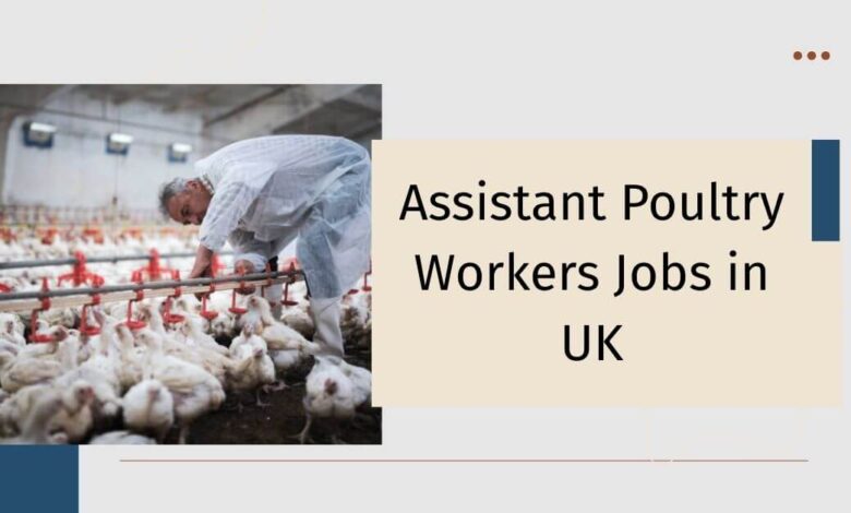 Assistant Poultry Workers Jobs in UK