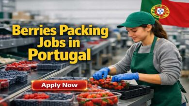Berries Packing Jobs in Portugal