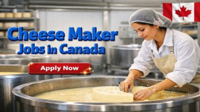 Cheese Maker Jobs in Canada