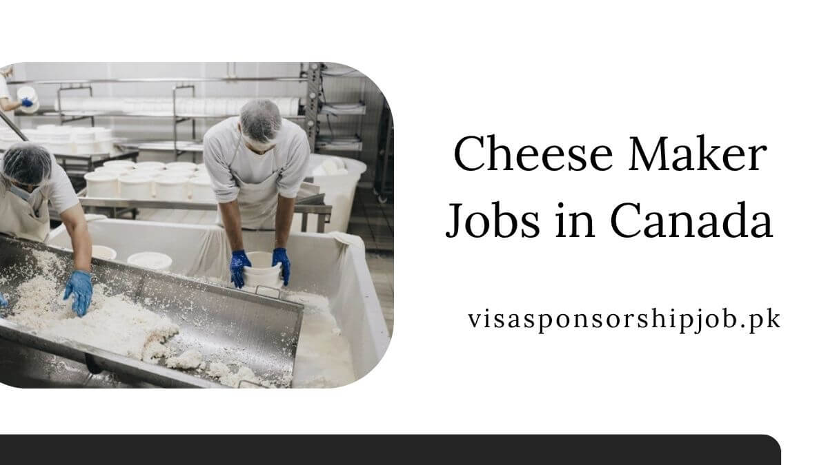 Cheese Maker Jobs in Canada