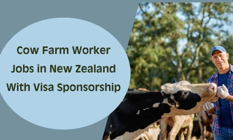 Cow Farm Worker Jobs in New Zealand With Visa Sponsorship