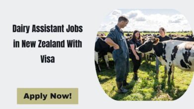 Dairy Assistant Jobs in New Zealand With Visa