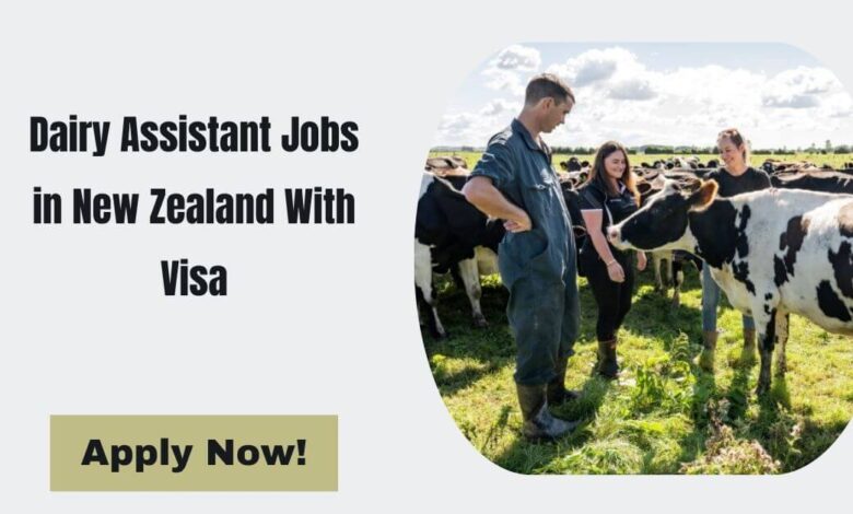 Dairy Assistant Jobs in New Zealand With Visa