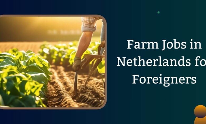 Farm Jobs in Netherlands for Foreigners