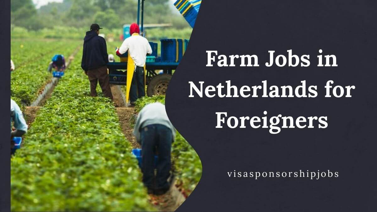 Farm Jobs in Netherlands for Foreigners