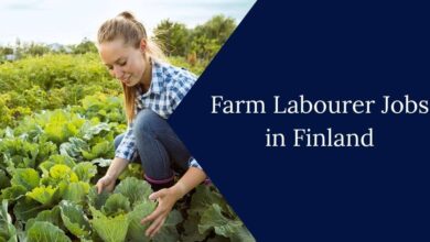 Farm Labourer Jobs in Finland