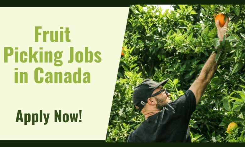 Fruit Picking Jobs in Canada