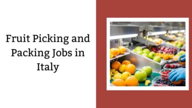 Fruit Picking and Packing Jobs in Italy