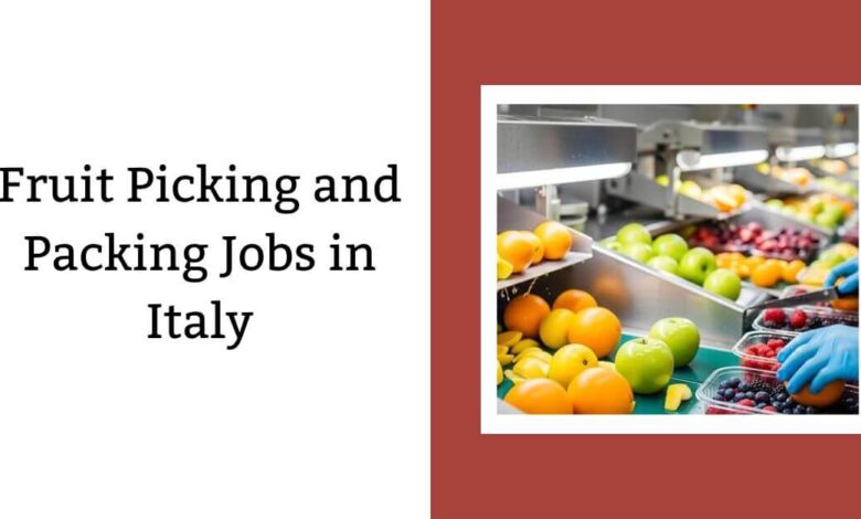 Fruit Picking and Packing Jobs in Italy