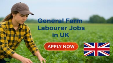 General Farm Labourer Jobs in UK
