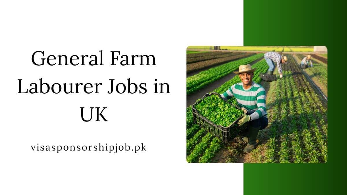 General Farm Labourer Jobs in UK