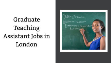 Graduate Teaching Assistant Jobs in London
