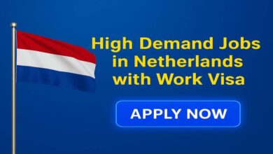 High Demand Jobs in Netherlands with Work Visa