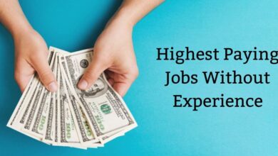 Highest Paying Jobs Without Experience