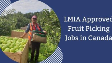 LMIA Approved Fruit Picking Jobs in Canada