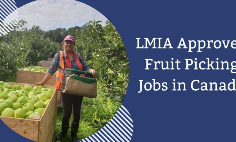 LMIA Approved Fruit Picking Jobs in Canada