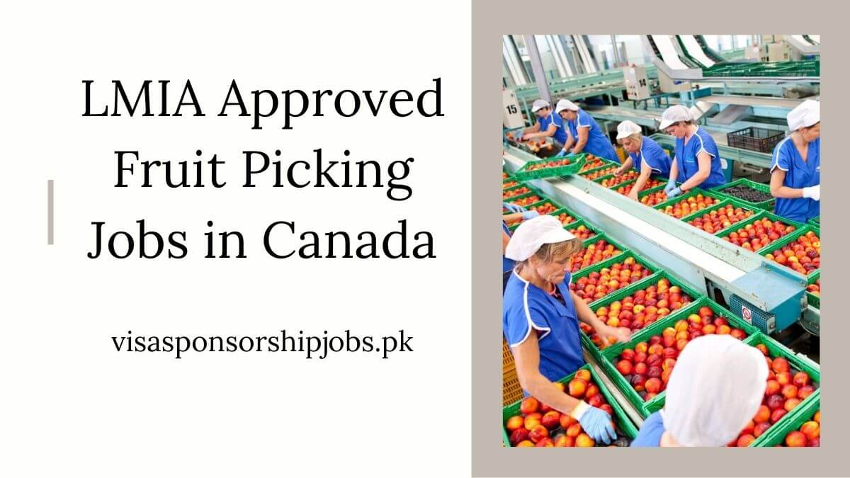 LMIA Approved Fruit Picking Jobs in Canada