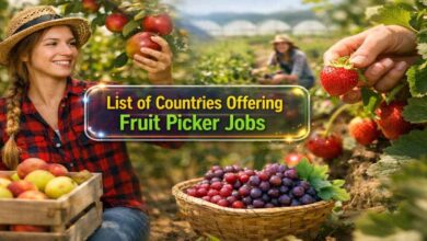 List of Countries Offering Fruit Picker Jobs